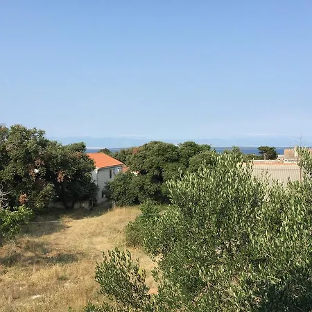 Apartment Cvita Silba